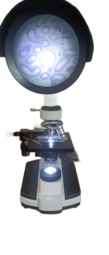 #PROJECTION MICROSCOPE