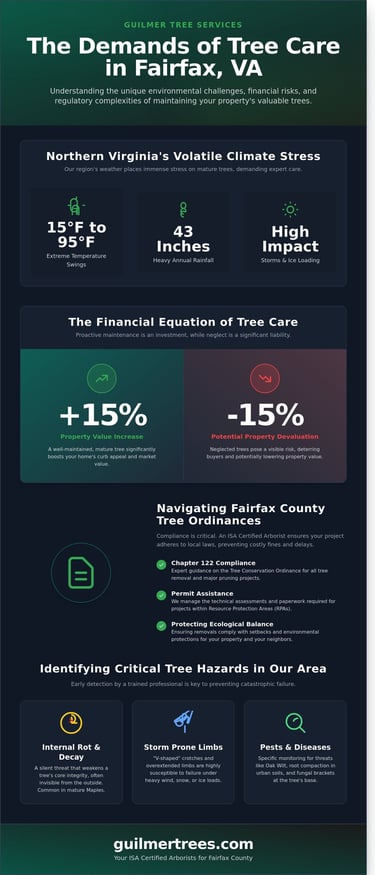 Infographic on professional tree service in Fairfax, VA highlighting key insights from a local tree care case study.