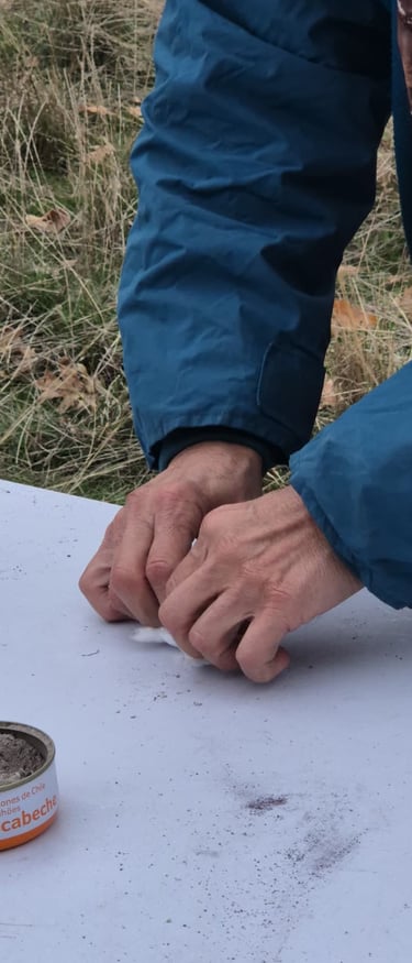 yesca para un fuego de supervivencia