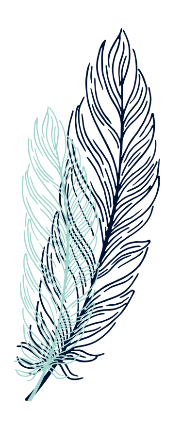 Plumes