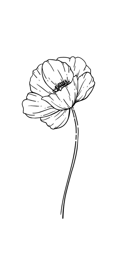 Elément décoratif - coquelicot monoligne noir  Joanie Frigau