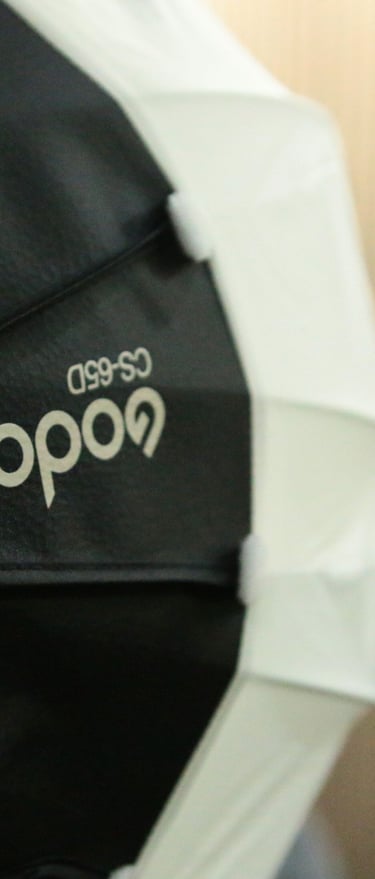 a person holding a black and white umbrella