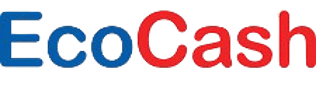 Secure EcoCash diaspora payment method for Zimbabwe