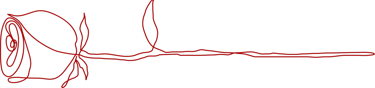Allure Dance Studios rose outline red