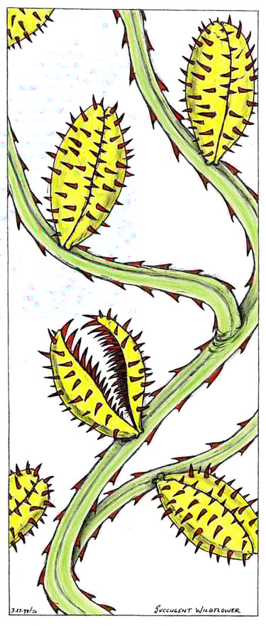 Succulent Wildflower; vines with thorns and toothed flytraps