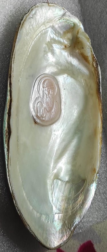 "Angled view of 11mm pearl–white glossy finish, nucleus cultured-for overseas markets"