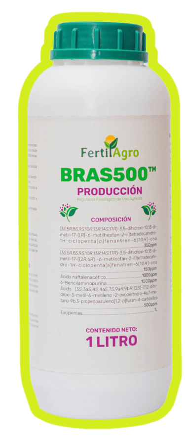 hormonas vegetales brasinoesteroides aumentan la producción 