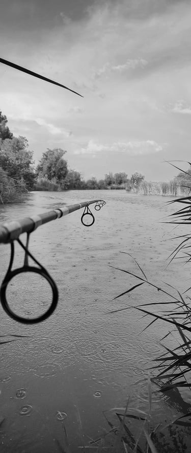 ChatGPT Plus A beautiful image of a river with a fishing rod pointing towards the horizon while rain