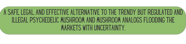 Mane Brain™ offers premium mushroom-based wellness products designed to support focus, memory,.