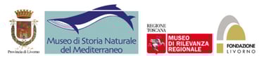 Vai al Museo di Storia Naturale del Mediterraneo