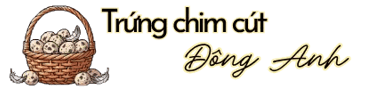 logo trung chim cut gia si tai Dong Anh