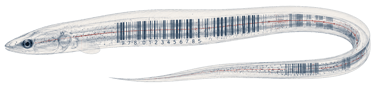 Barcode Ecology, © 2026
