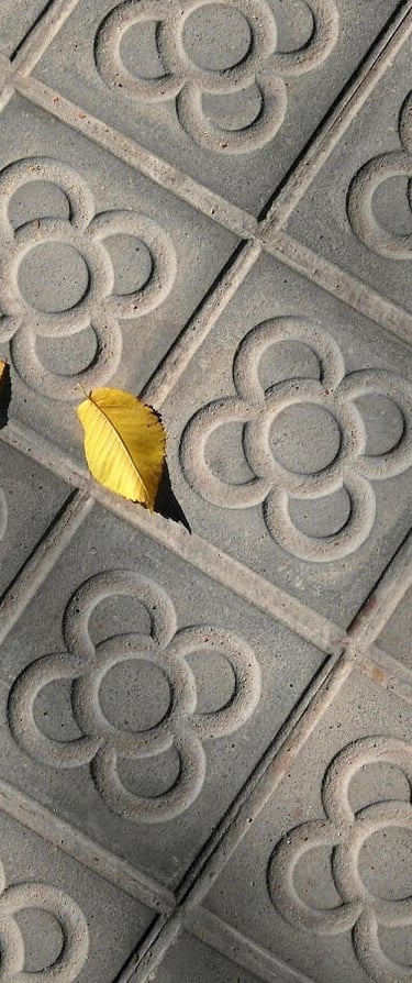 Foto de una acera de barcelona donde se muestra el panot