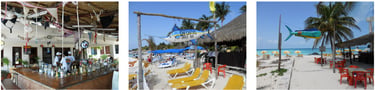 chichis charlies restaurant