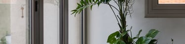 Detalle de aberturas de aluminio y una planta. Casa sucesiva en Alta Gracia.