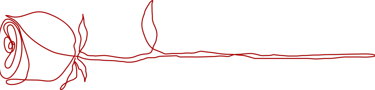 Allure Dance Studios red rose outline left