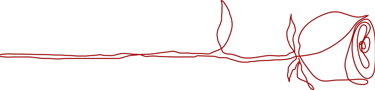Allure Dance Studios rose outline red
