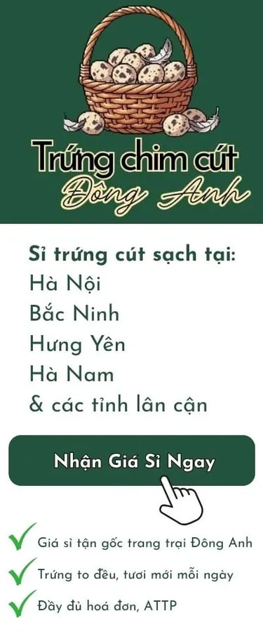 banner trung chim cut sach gia si tan goc Dong Anh