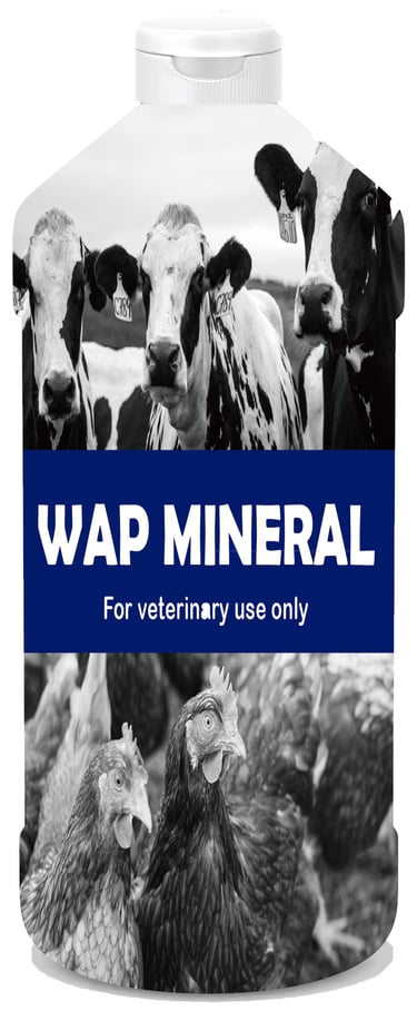WAP MINERAL