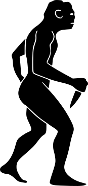 hoimme 1