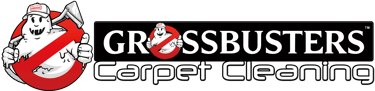 Grossbusters Carpet Cleaning logo & banner