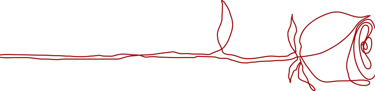 Allure Dance Studio rose outline red