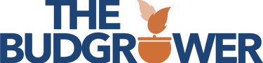 Cannabis Marketing Agency