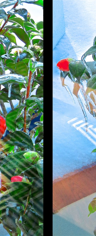 "4 Waldron & Dolphy 21" © 2025 Heinz Lechner