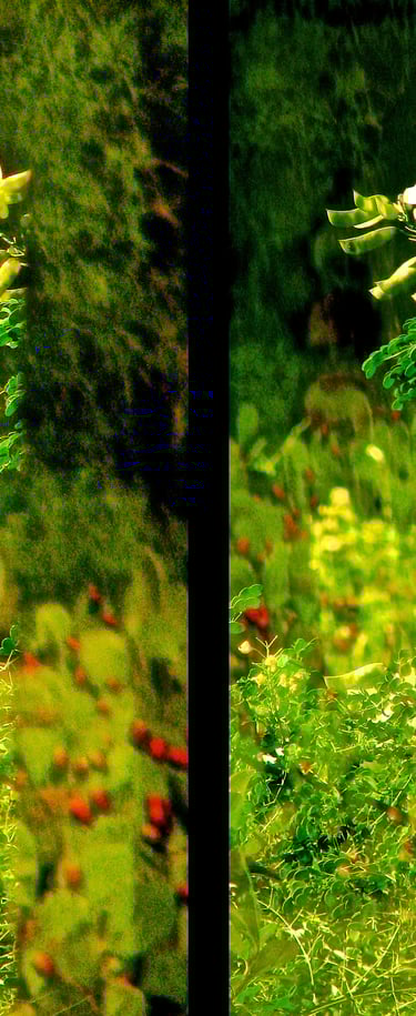 "Beach Boys" © 2006 Heinz Lechner