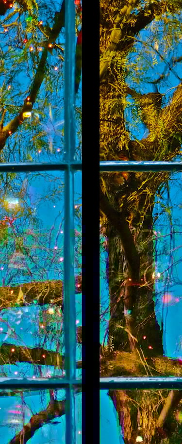 "Can" © 2010 Heinz Lechner