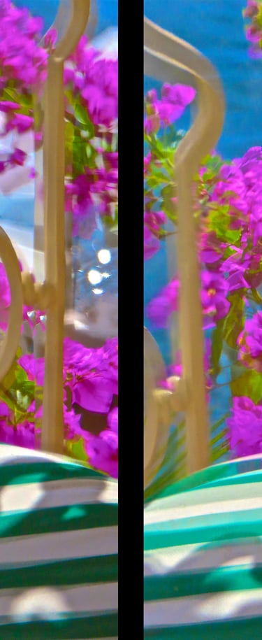 "Elfriede Jelinek" © 2020 Heinz Lechner