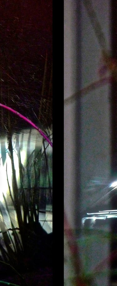 "Gipsy Love" © 2015 Heinz Lechner