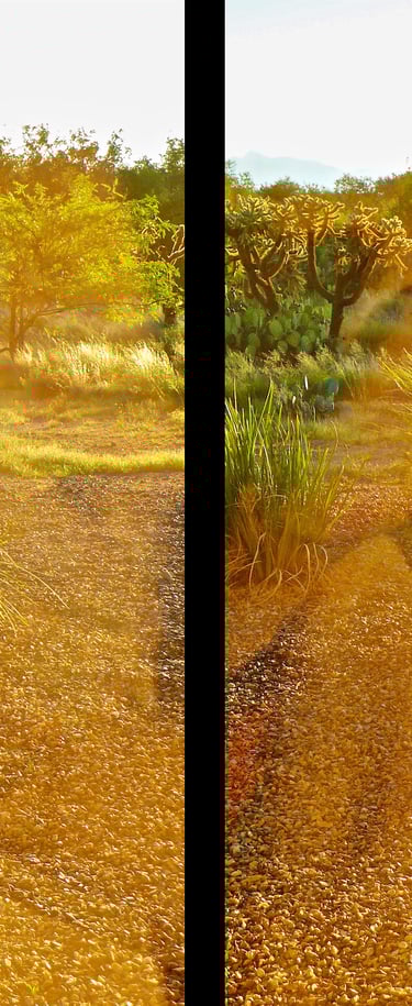 "Mahavishnu Orchestra" © 2012 Heinz Lechner