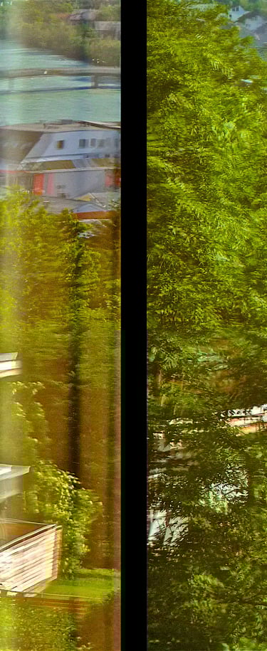 "Turtles" © 2012 Heinz Lechner