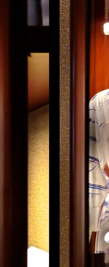 "Ufo" © 2024 Heinz Lechner