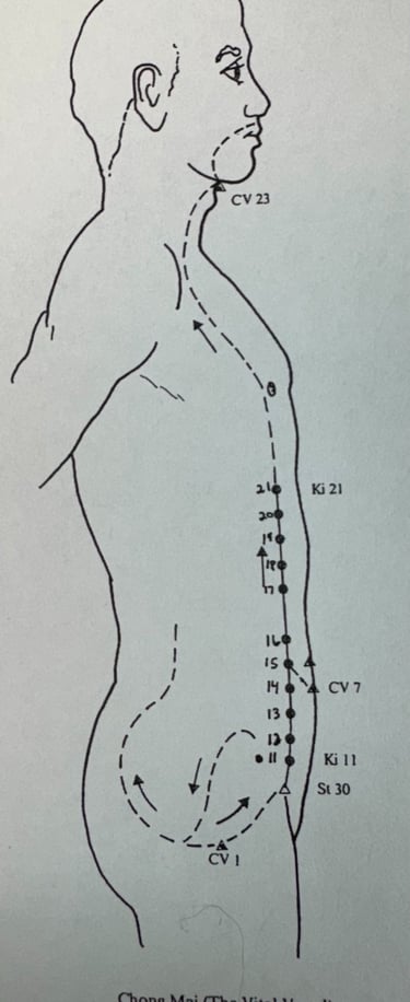 Chong Mai (side view): penetration of prenatal jing through the core of the body.
