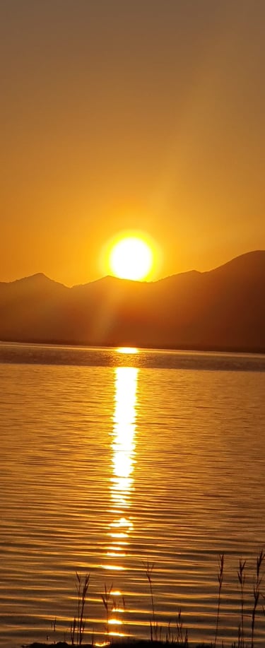 a sunset over a lake with a tree in the foreground