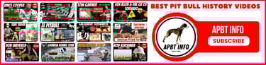 PIT BULL VIDEOS APBT HISTORY GAMEDOG YARD TOURS
