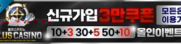 플러스 카지노