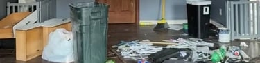 Image of a messy living room in Metro Detroit before property cleanout and removal