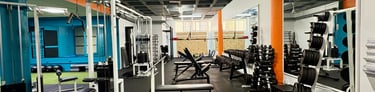 Musculacion elda