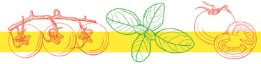 Pasta ingredients line drawing