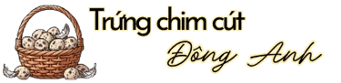 logo trung chim cut gia si tai Dong Anh