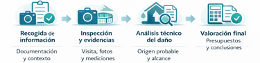 Infografía explicativa de la metodología seguida por nuestros peritos