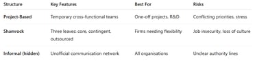 Recap Flexible Organisational Structures