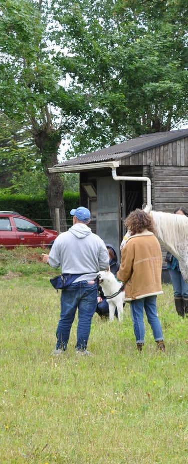 un groupe echange avec un equicoach (Rémi Bleibtreu) entouré d'un cheval et de chiens