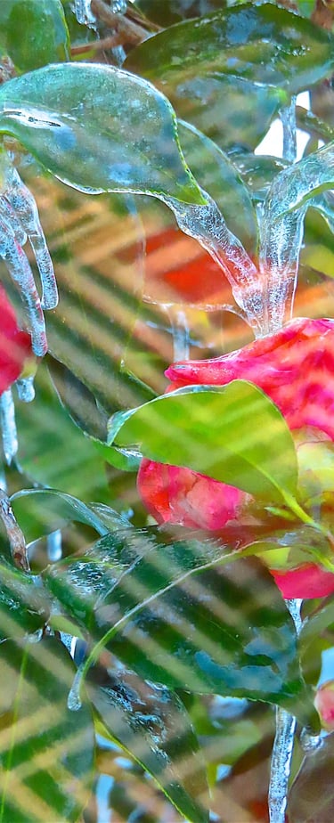 "4 Karin" © 2025 Heinz Lechner