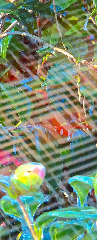 "4 Vera" © 2025 Heinz Lechner