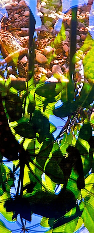 "Blattgrün" © 1999 Heinz Lechner