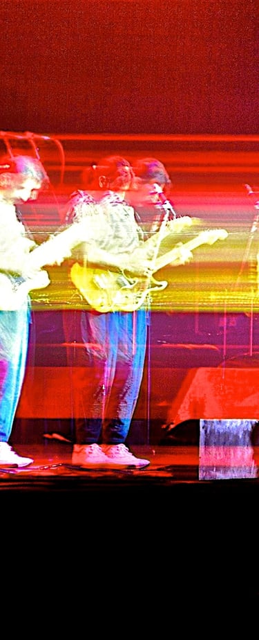 Frank Zappa © 1984 Heinz Lechner